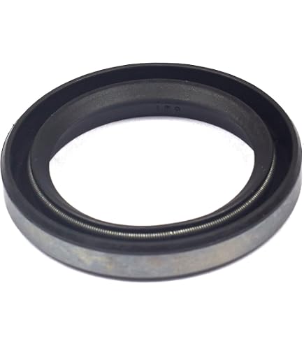 Amazon.com: Briggs & Stratton 694953 Crankcase Gasket Replacement